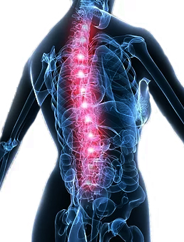 lumbar-microdiscectomy-location